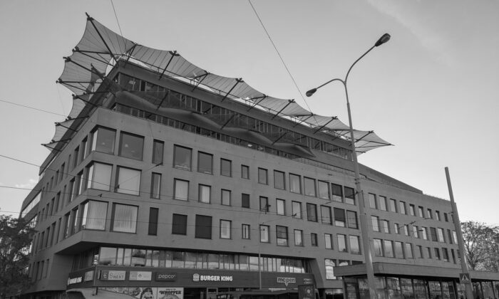 PXL_20251104_070954978